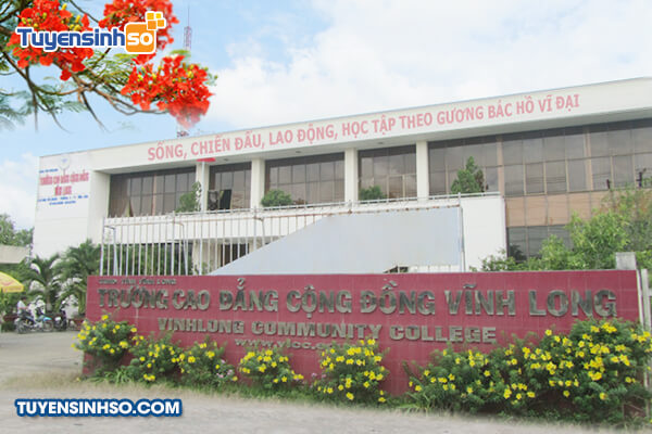 Cao đẳng Cộng đồng Vĩnh Long - Hình 2