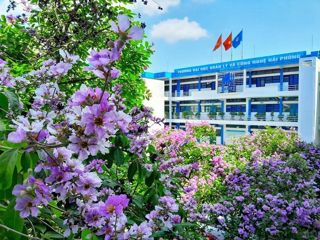 Trường Đại học Hải Phòng Quản lý và Công nghệ - Hình 4