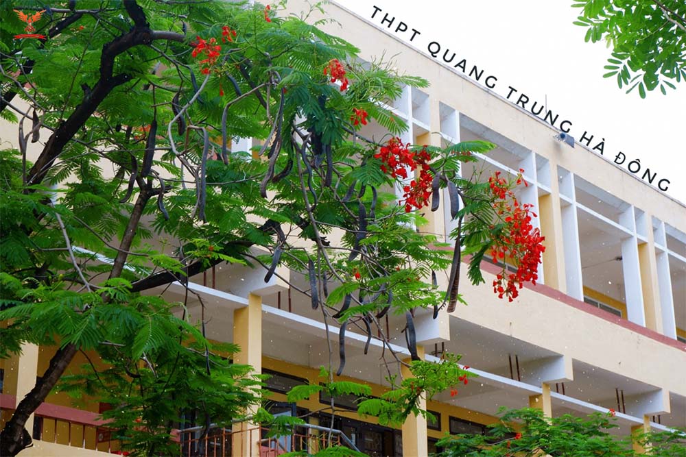 Trường THPT Quang Trung - Hà Đông - Hình 3
